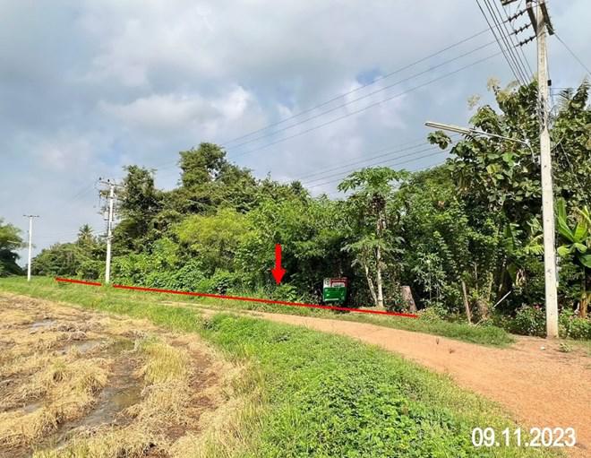 ไร่อ้อย พิชัย อุตรดิตถ์